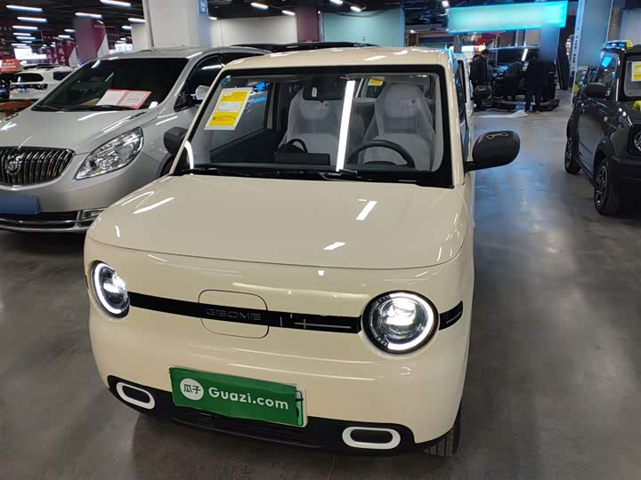 Фото 3 - Geely Galaxy Panda Mini