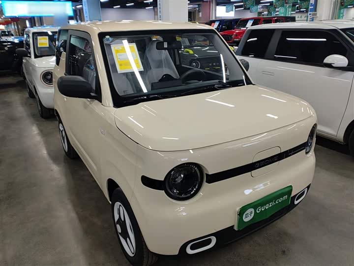 Фото 4 - Geely Galaxy Panda Mini