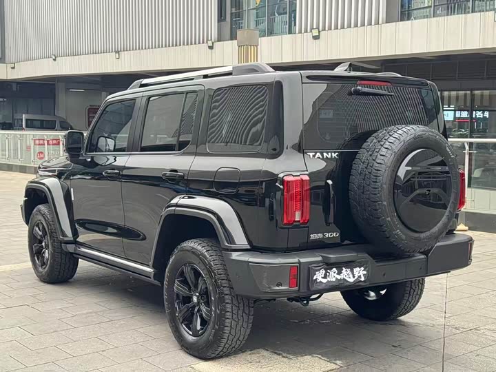 Фото 4 - Tank 300