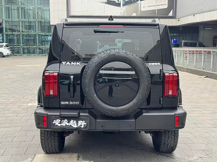 Фото 5 - Tank 300