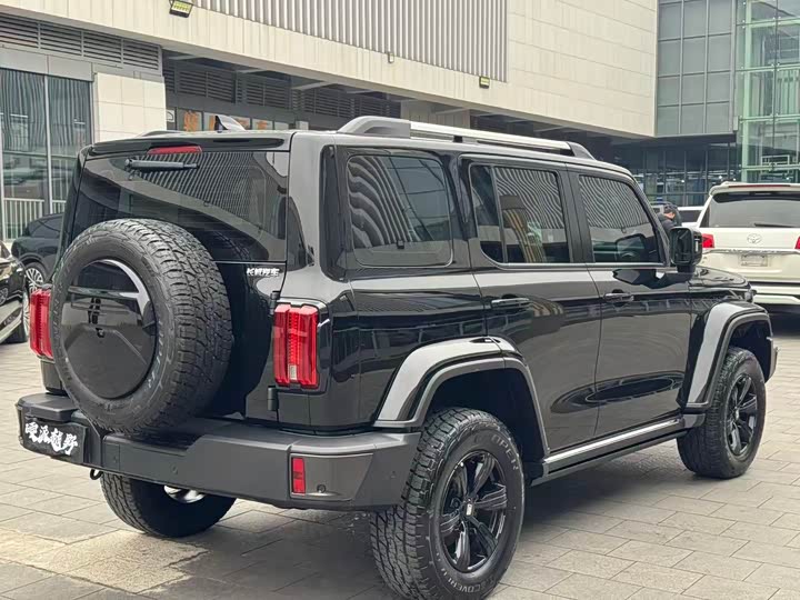 Фото 6 - Tank 300