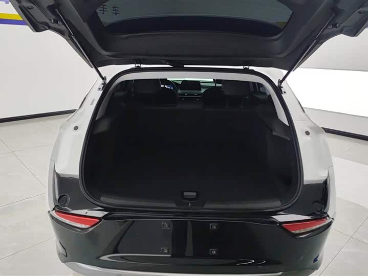 Фото 4 - Buick Velite 6