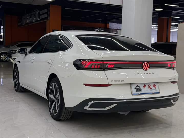 Фото 7 - Volkswagen Lamando L