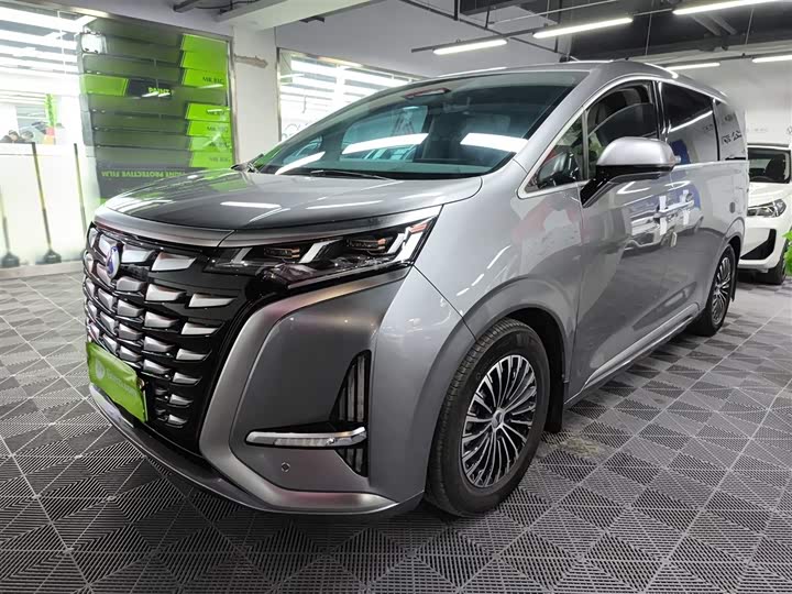 Фото 1 - Denza D9