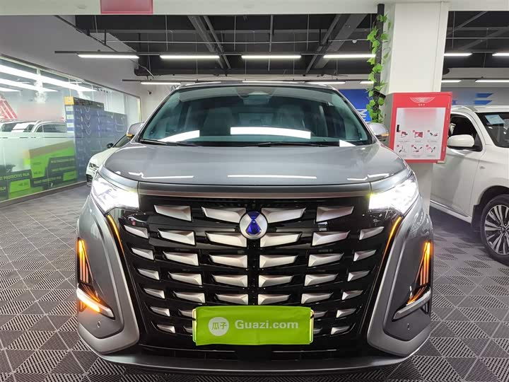 Фото 3 - Denza D9