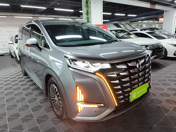 Фото 4 - Denza D9