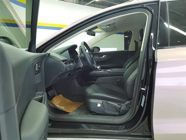 Фото 9 - Hongqi E-QM5