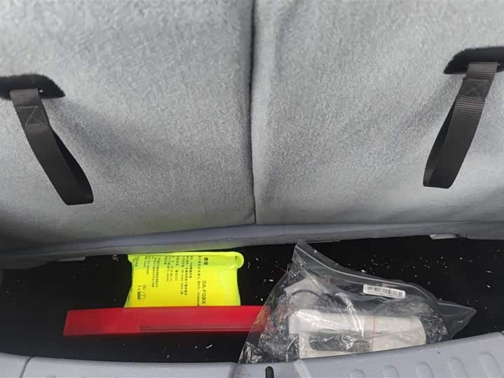 Фото 4 - Bestune Pony