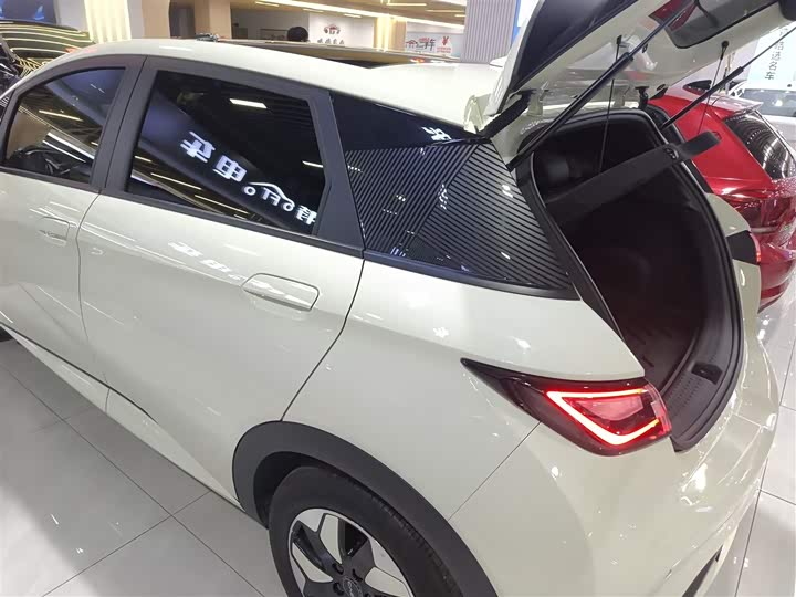 Фото 5 - BYD Dolphin