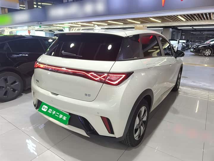 Фото 7 - BYD Dolphin