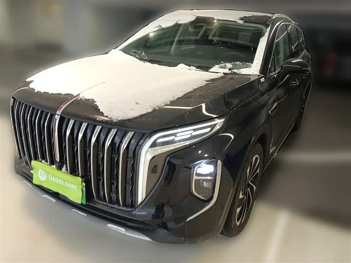Фото 1 - Hongqi HS7 Hybrid
