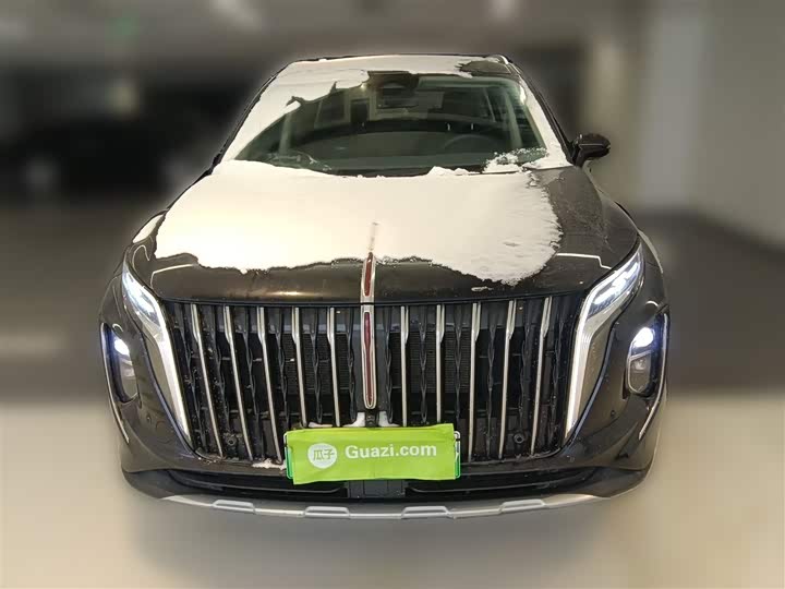 Фото 5 - Hongqi HS7 Hybrid