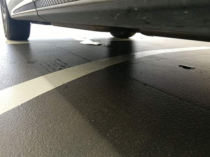 Фото 6 - Hongqi HS7 Hybrid