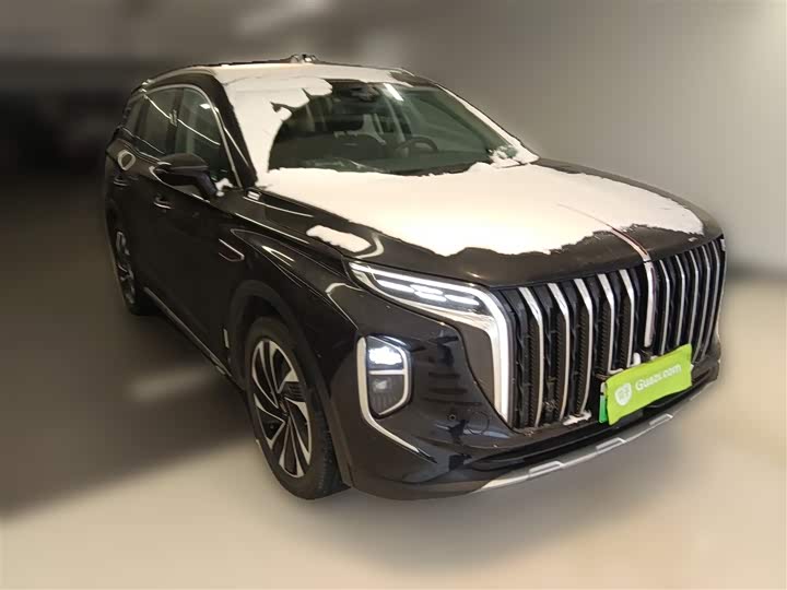 Фото 7 - Hongqi HS7 Hybrid