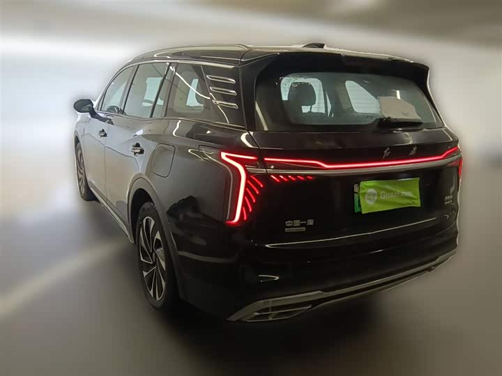 Фото 9 - Hongqi HS7 Hybrid