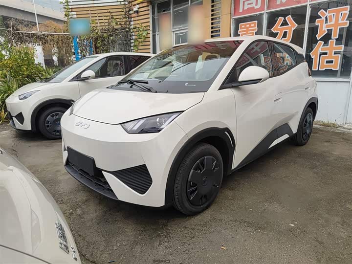 Фото 1 - BYD Seagull