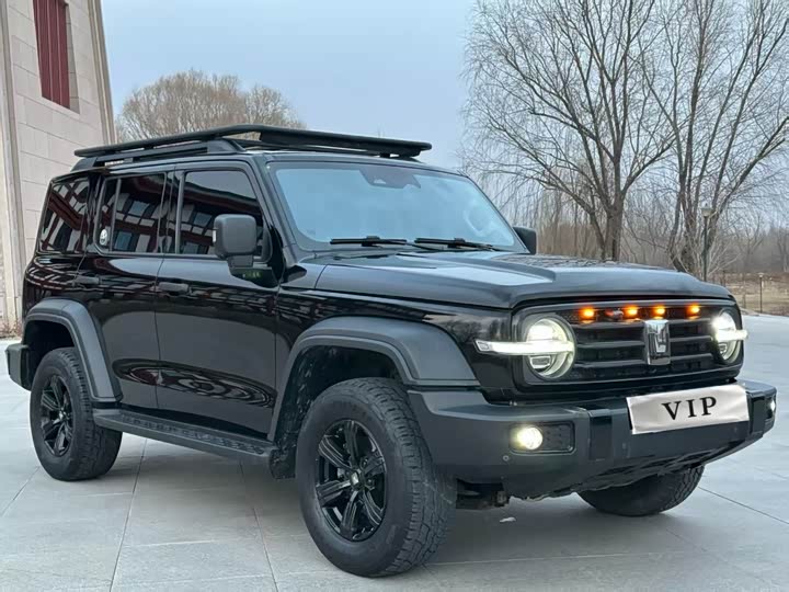 Фото 3 - Tank 300