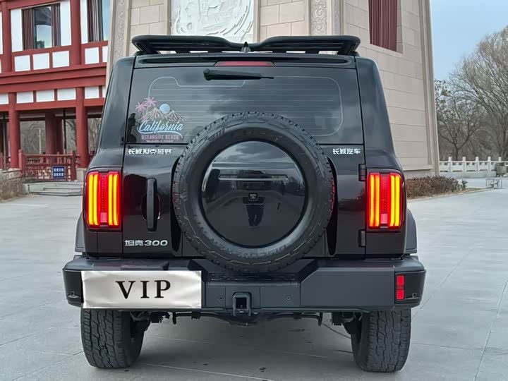 Фото 8 - Tank 300