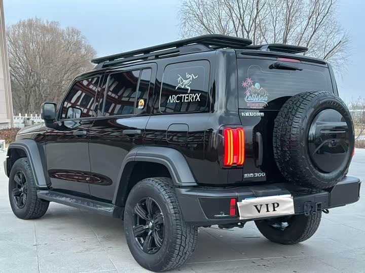 Фото 9 - Tank 300