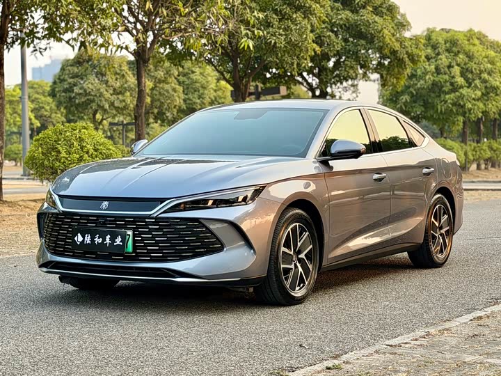 Фото 1 - BYD Qin L