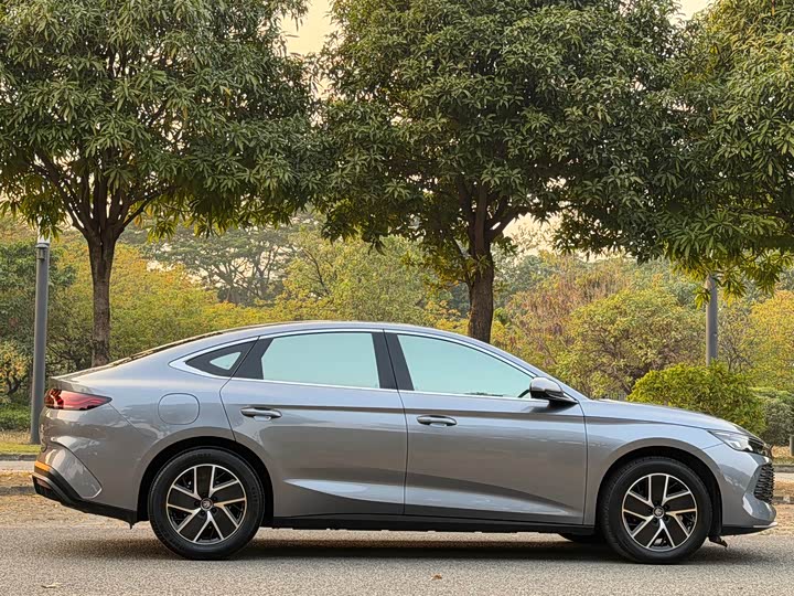 Фото 4 - BYD Qin L