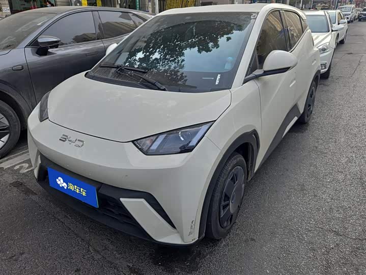 Фото 1 - BYD Seagull