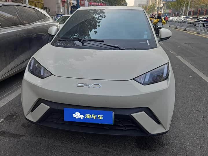 Фото 2 - BYD Seagull