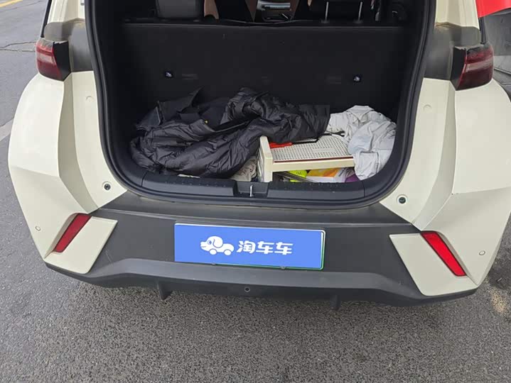 Фото 4 - BYD Seagull