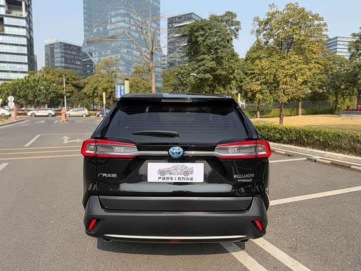 Фото 5 - Toyota Wildlander