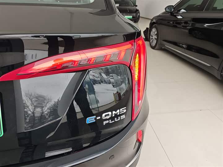 Фото 5 - Hongqi E-QM5