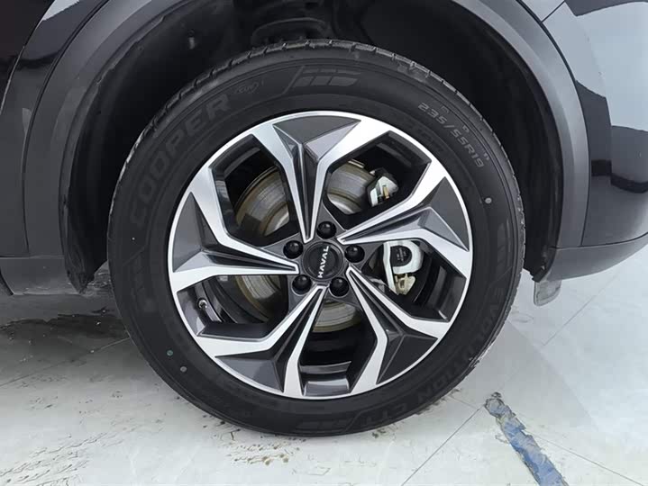 Фото 6 - Haval Ruge Max