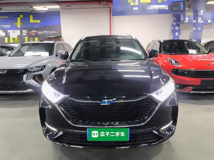Фото 3 - Changan Oshan X7