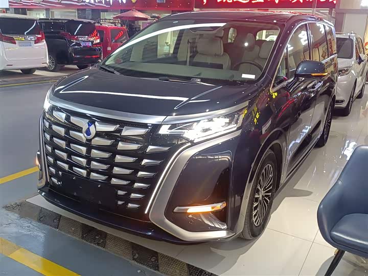 Фото 2 - Denza D9