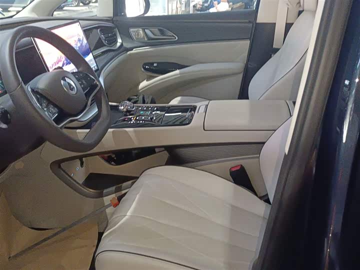 Фото 7 - Denza D9