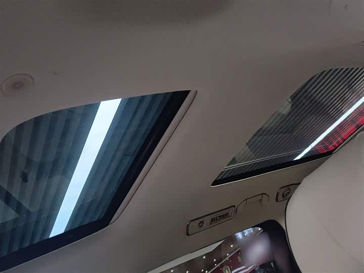 Фото 8 - Denza D9