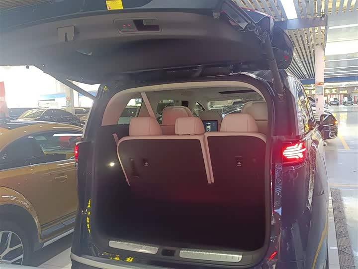 Фото 9 - Denza D9