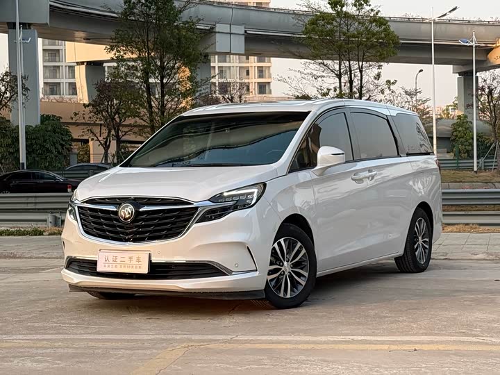 Фото 1 - Buick GL8 ES