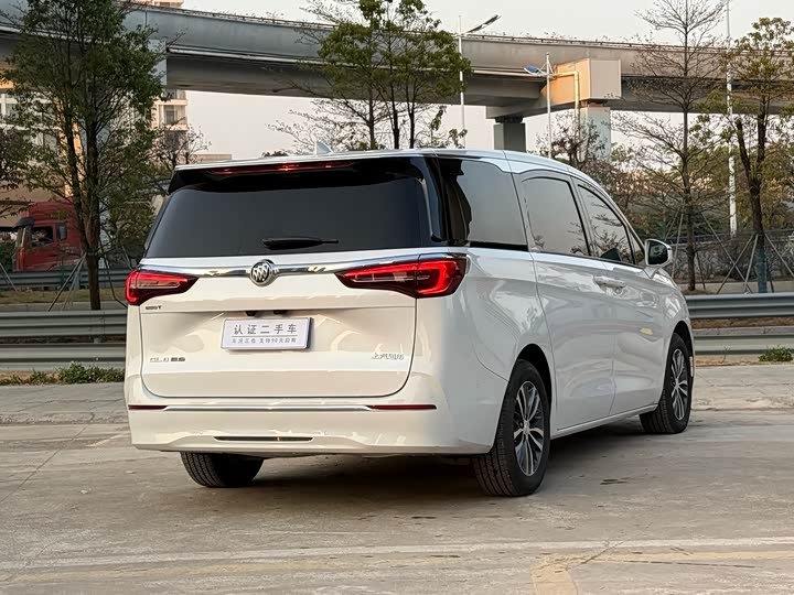 Фото 7 - Buick GL8 ES