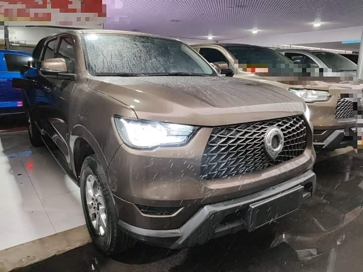 Фото 4 - Great Wall Pao