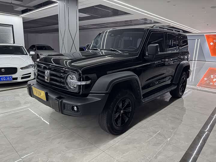 Фото 1 - Tank 300