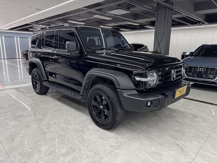 Фото 2 - Tank 300