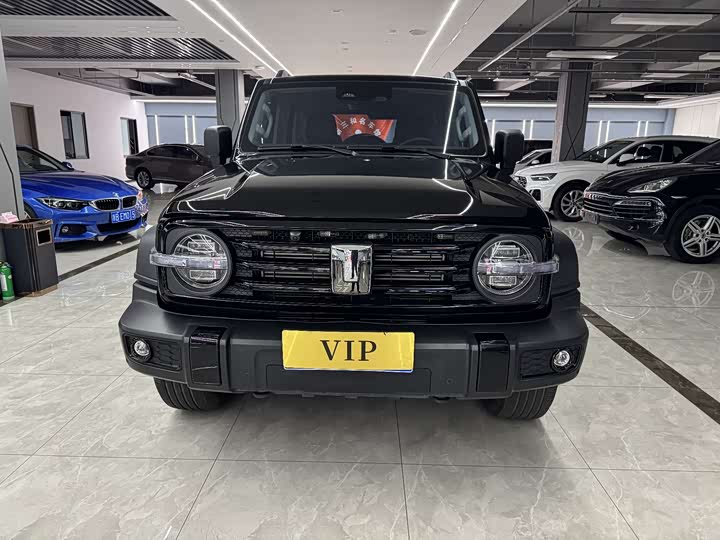 Фото 3 - Tank 300