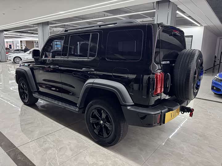 Фото 9 - Tank 300