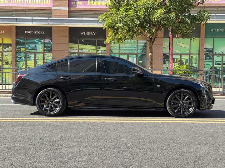 Фото 4 - Cadillac CT5