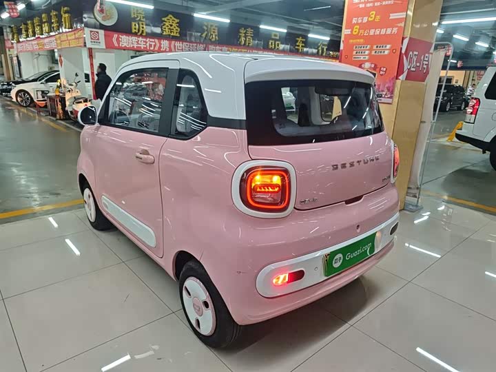 Фото 5 - Bestune Pony