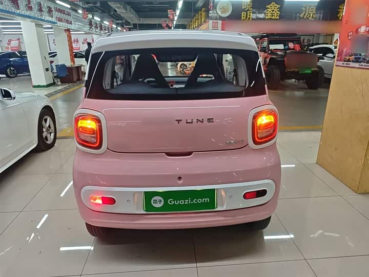 Фото 6 - Bestune Pony