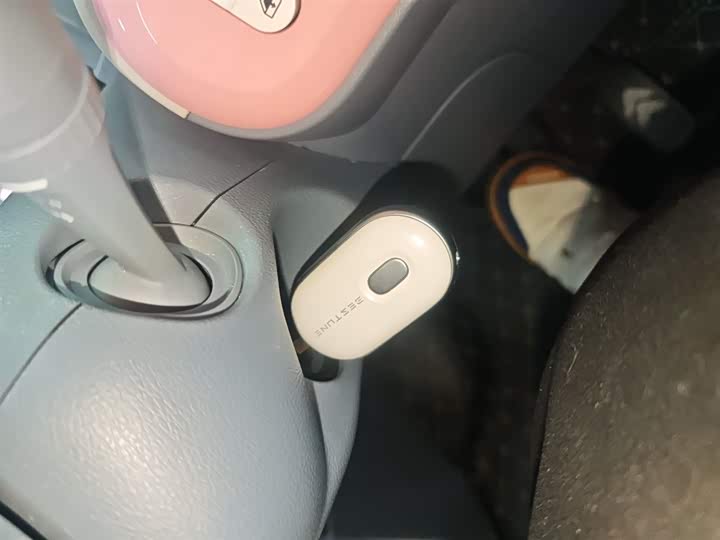 Фото 9 - Bestune Pony