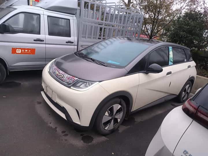 Фото 1 - BYD Dolphin