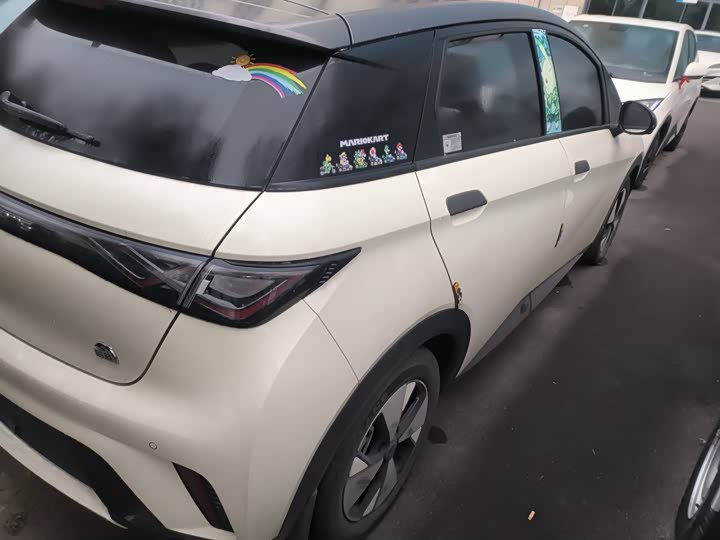 Фото 4 - BYD Dolphin