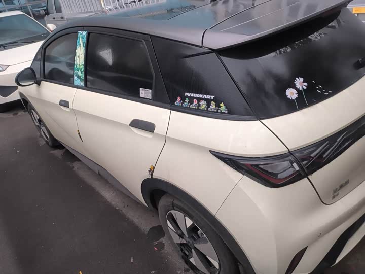 Фото 6 - BYD Dolphin